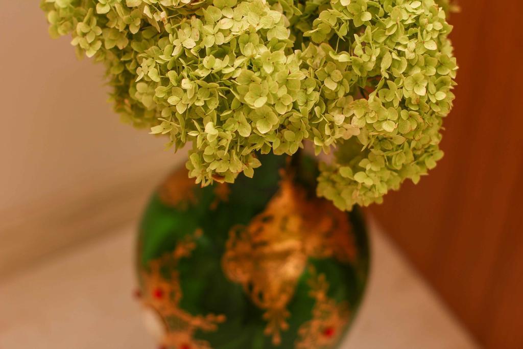 Apartment Jasmin สปลิท ห้อง รูปภาพ