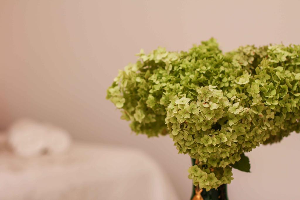 Apartment Jasmin สปลิท ห้อง รูปภาพ